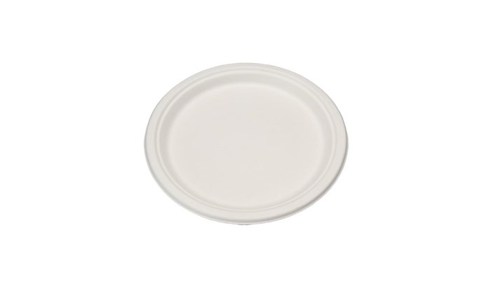 bch-32420200_1.jpg
